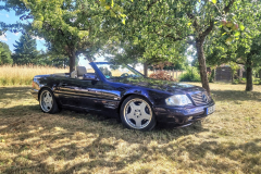 k-SL-Schraeg-baum-toll