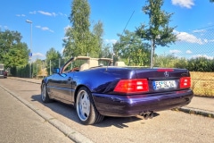 k-SL-am-Wegesrand