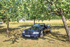 k-SL-unter-Baum