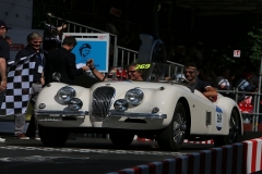 Mille-Miglia (179)