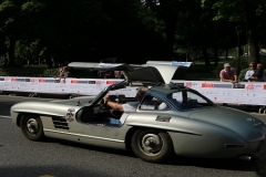 Mille-Miglia (224)