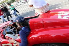 Mille-Miglia (229)
