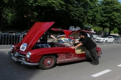Mille-Miglia (233)