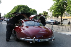 Mille-Miglia (234)