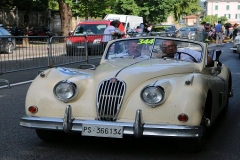 Mille-Miglia (240)